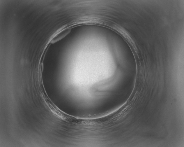 X0000084041242200702232316