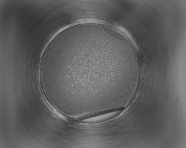 X0000084041244200702232316