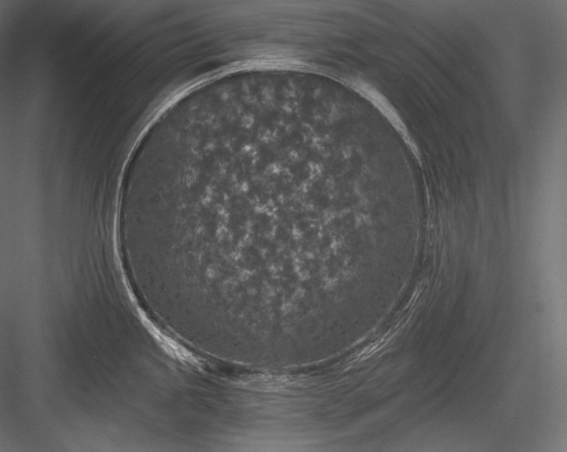 X0000084041245200702232316