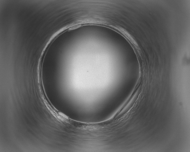X0000084041246200702232316