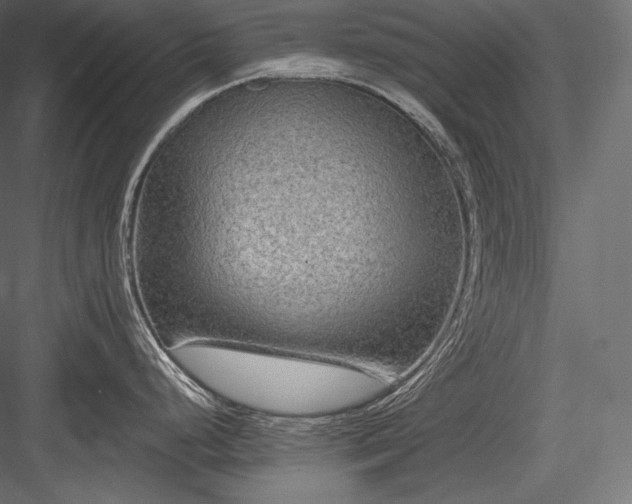 X0000084041248200702232316