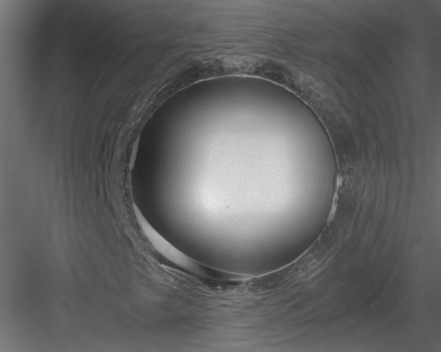 X0000084041249200702232316