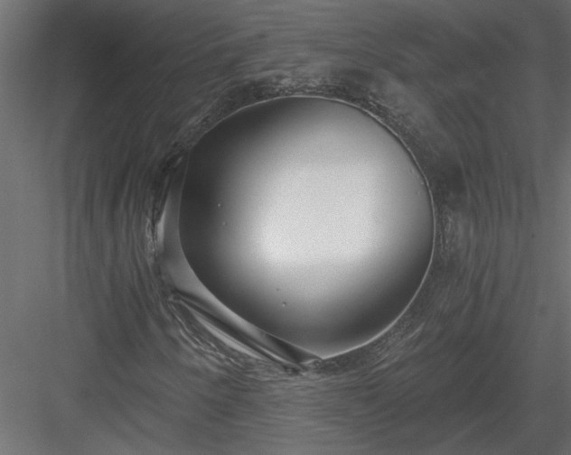 X0000084041250200702232316