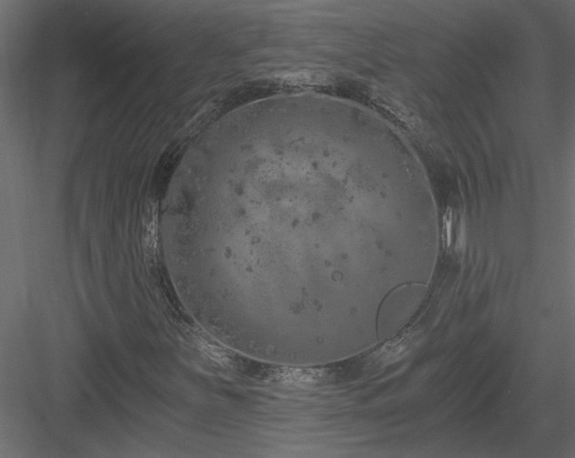 X0000084041251200702232316
