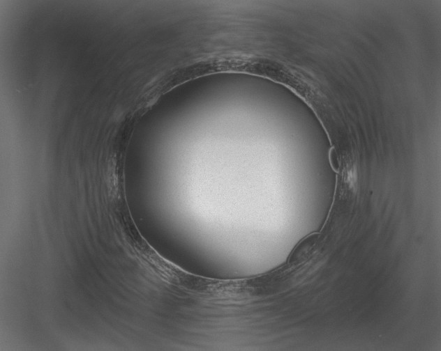 X0000084041252200702232315