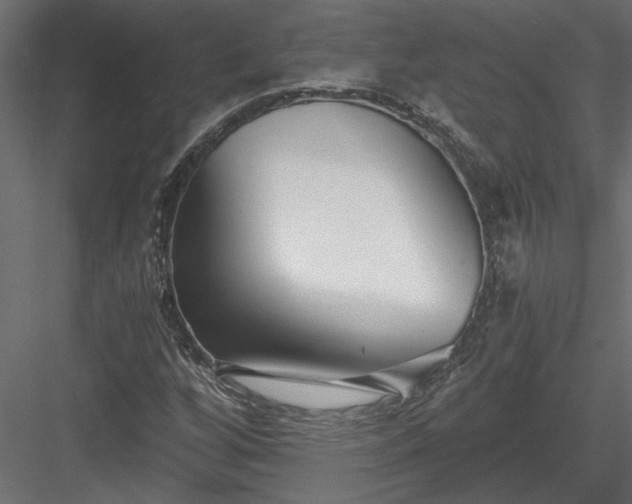 X0000084041256200702232315