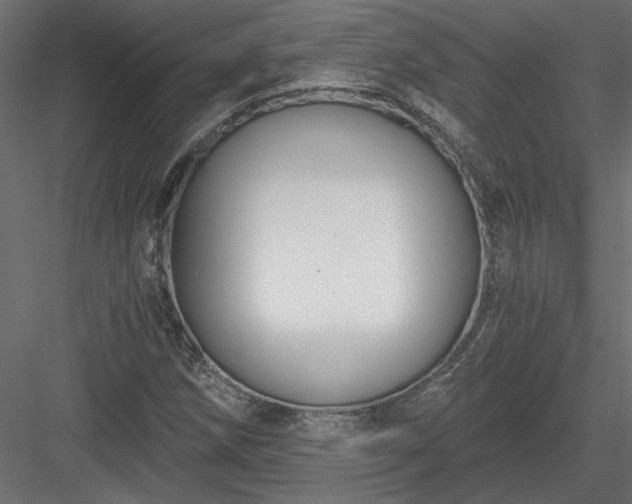 X0000084041258200702232315