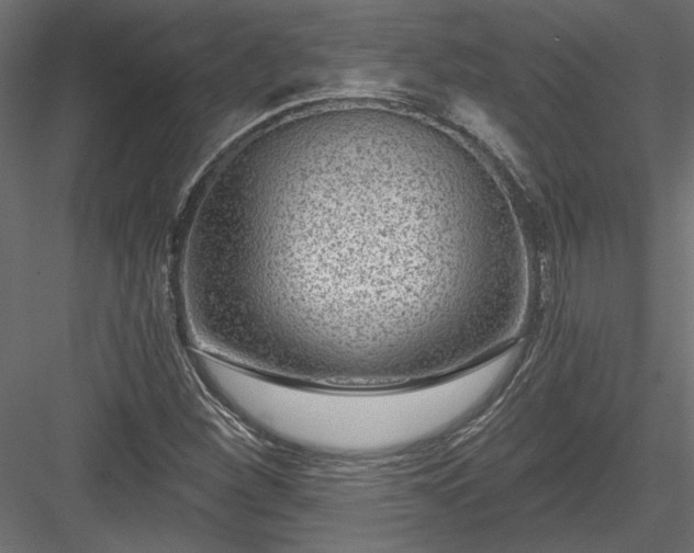 X0000084041260200702232315
