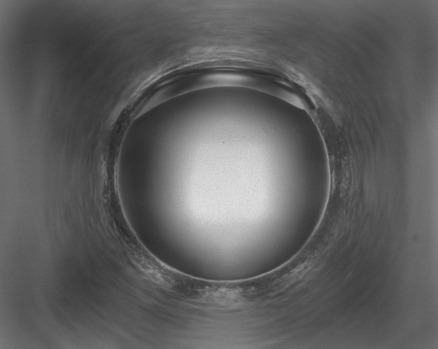 X0000084041261200702232315
