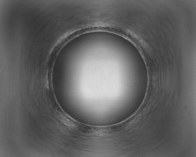 X0000084041262200702232315