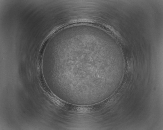 X0000084041266200702232315