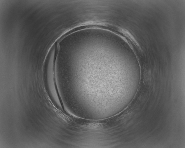 X0000084041268200702232315