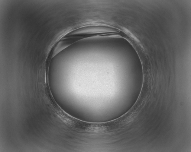 X0000084041269200702232315