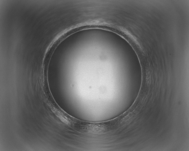 X0000084041270200702232315