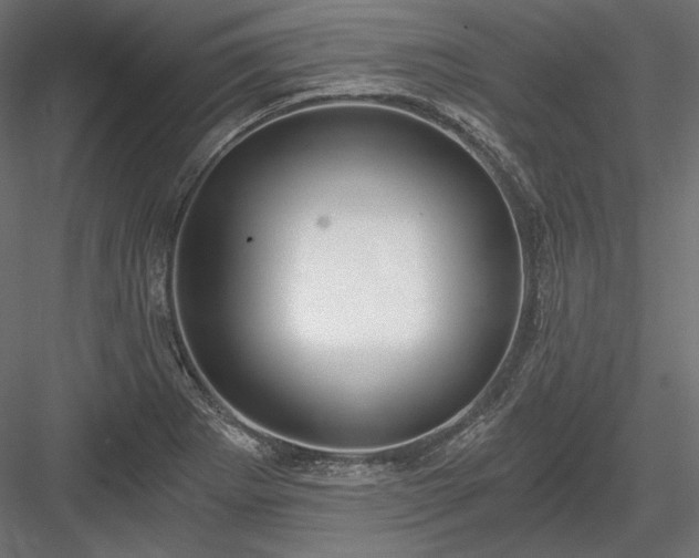 X0000084041273200702232315