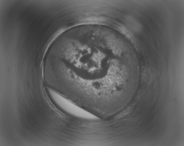 X0000084041275200702232315