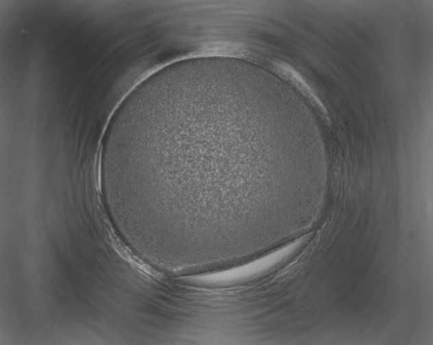 X0000084041276200702232315