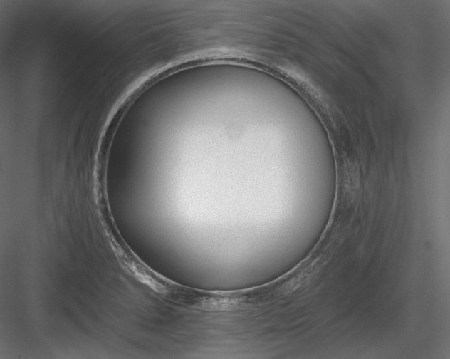 X0000084041278200702232315