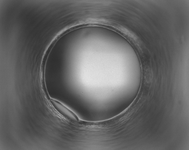 X0000084041280200702232315