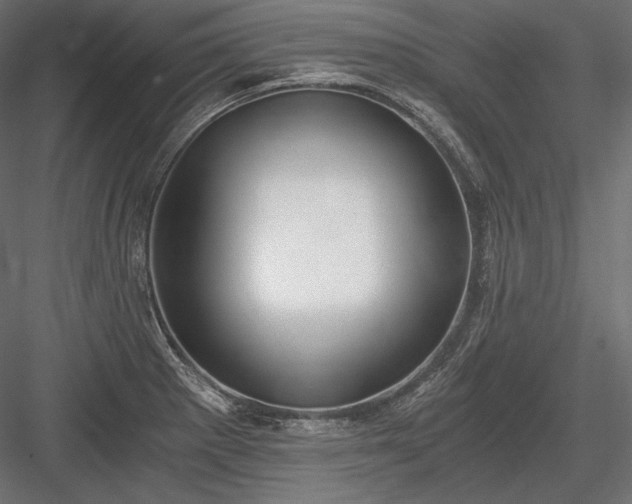 X0000084041281200702232315