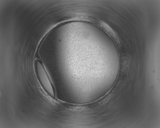 X0000084041284200702232315