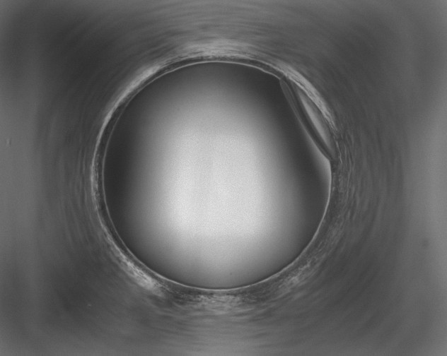 X0000084041285200702232315