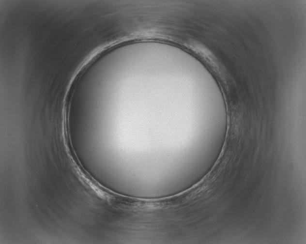 X0000084041286200702232315