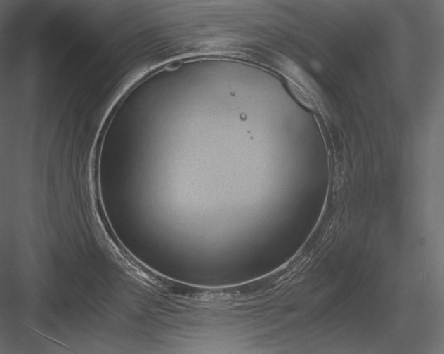 X0000084041291200702232315