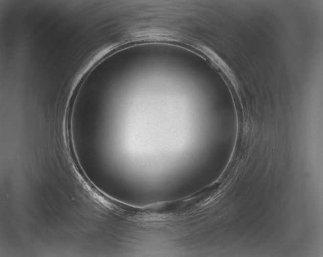 X0000084041293200702232315
