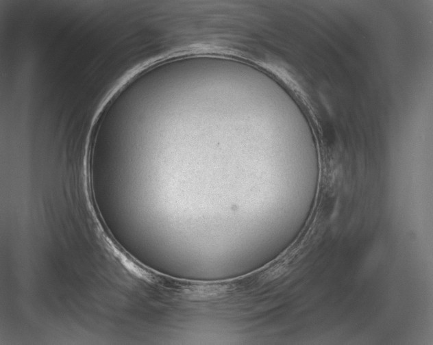X0000084041294200702232315