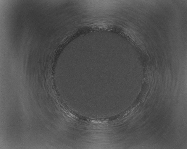 X0000084041297200702232314