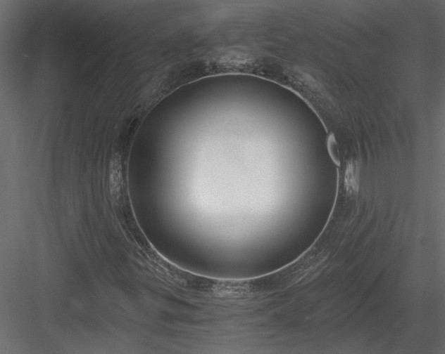 X0000084041299200702232314