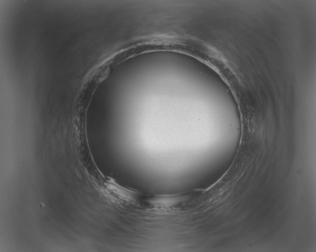 X0000084041304200702232314
