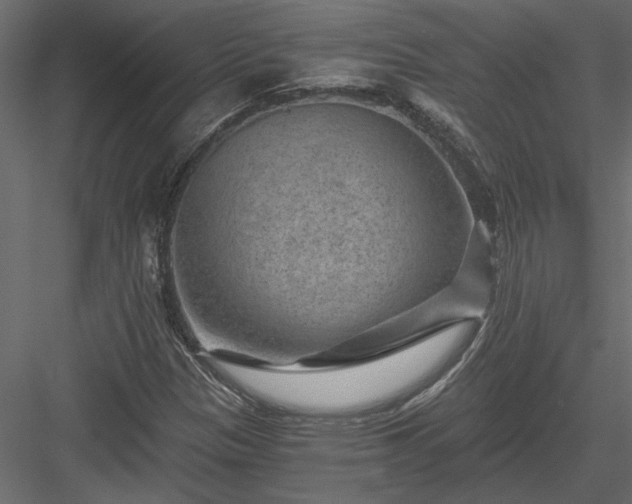 X0000084041305200702232314
