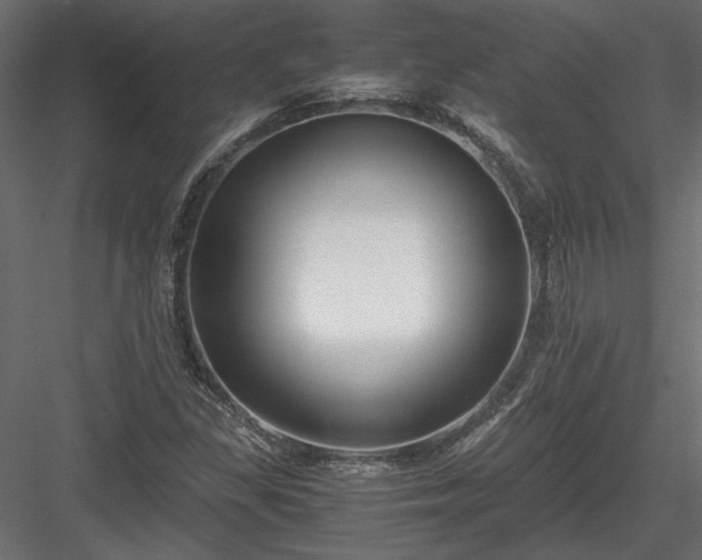X0000084041309200702232314