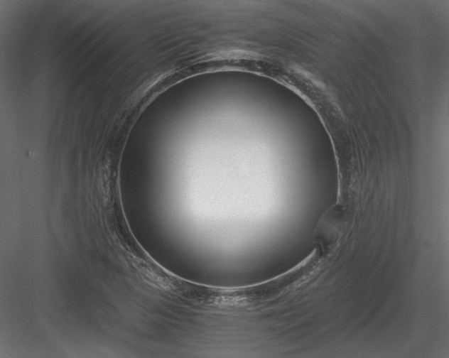 X0000084041313200702232314