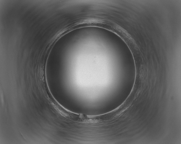 X0000084041321200702232314