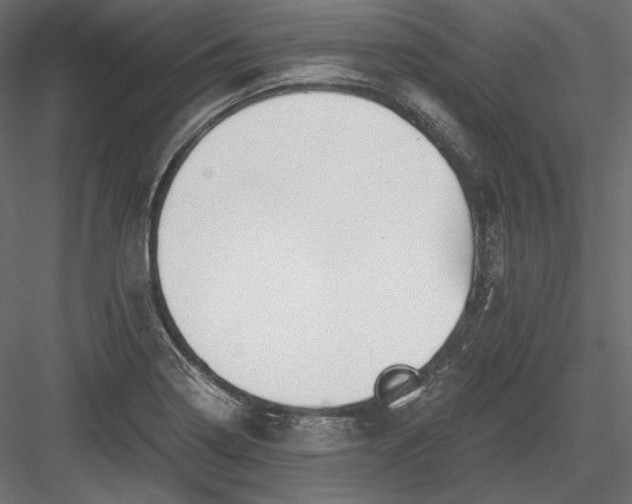 X0000084041322200702232314