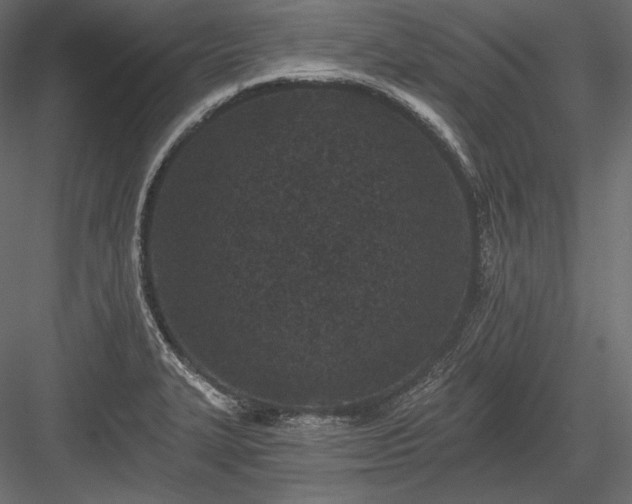 X0000084041327200702232314