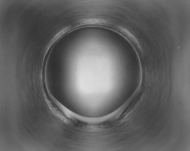 X0000084041330200702232314