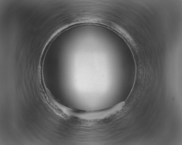 X0000084041332200702232315