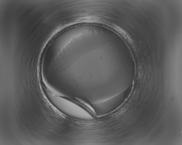 X0000084041334200702232315