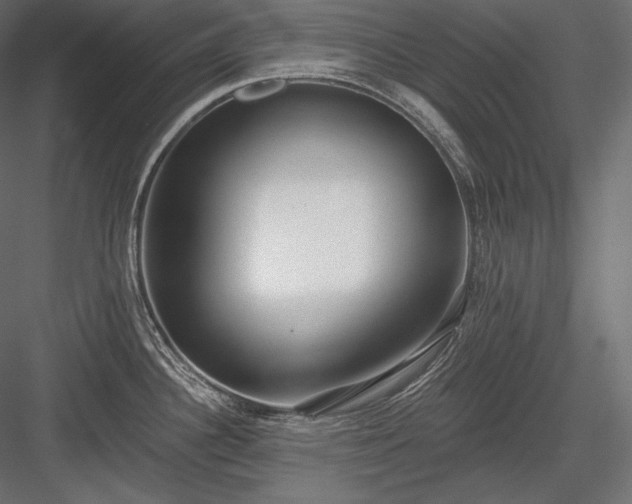 X0000084041340200702232315