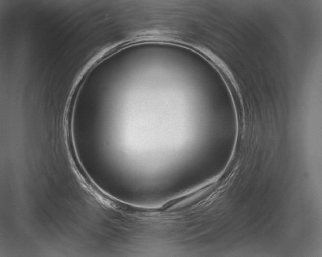 X0000084041341200702232315