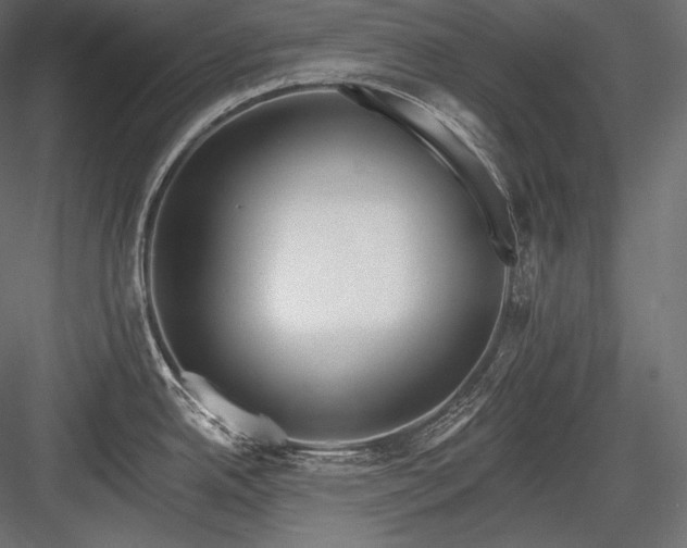 X0000084041342200702232315