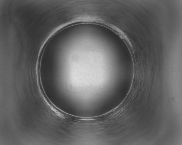 X0000084041343200702232315