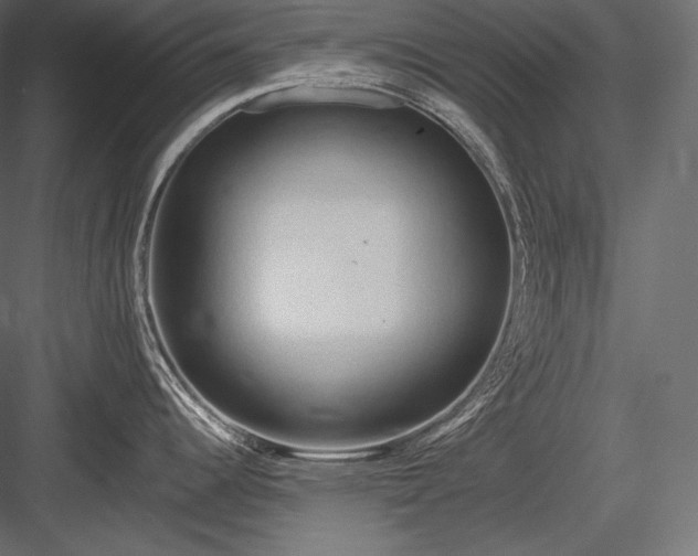 X0000084041344200702232315