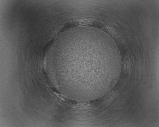 X0000084041346200702232314