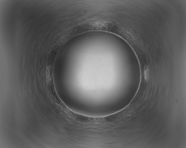 X0000084041347200702232314