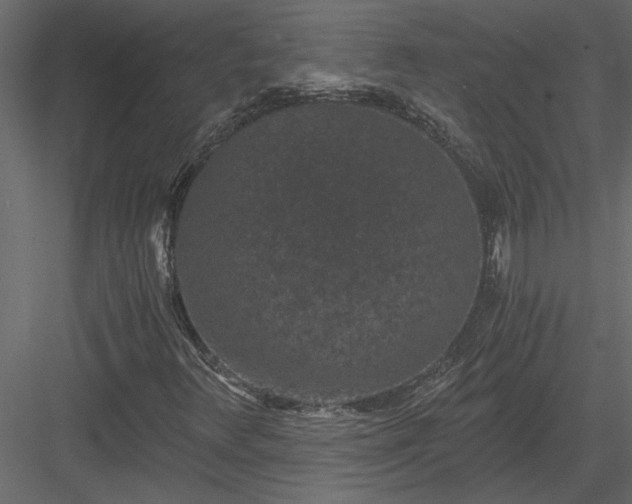 X0000084041348200702232314